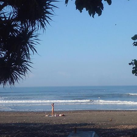Medewi Good Vibes Stay&Surf Jembrana  Exterior photo