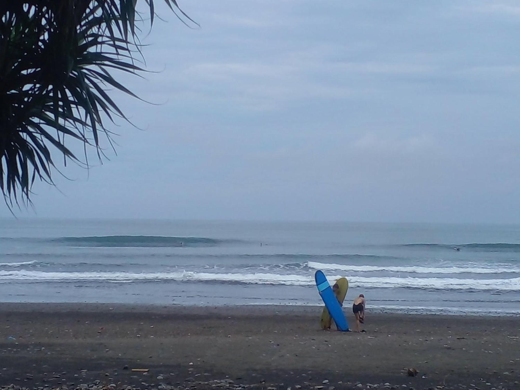 Medewi Good Vibes Stay&Surf Jembrana  Exterior photo