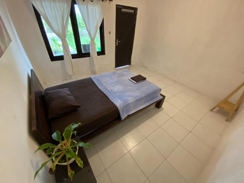 Medewi Good Vibes Stay&Surf Jembrana  Room photo
